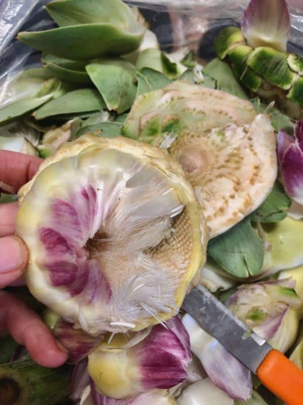 Prepare the artichokes by removing the inside until you reach the tender inner leaves.