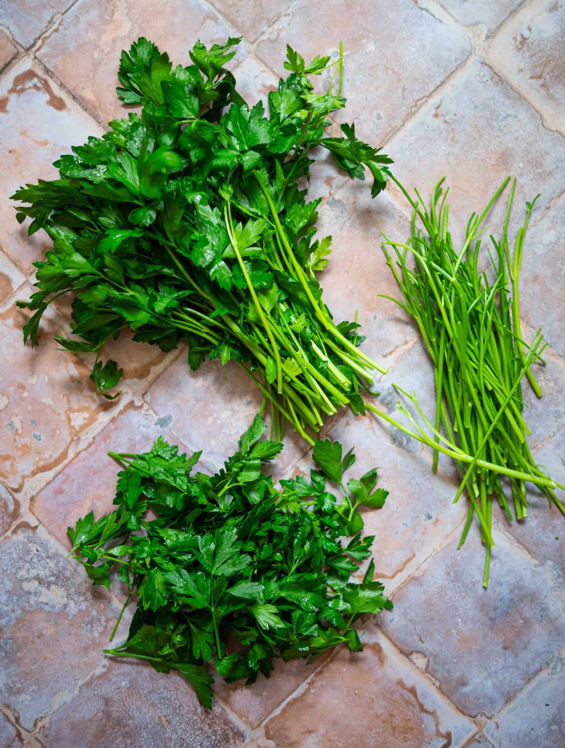 Picking parsley leaves, removing stems.