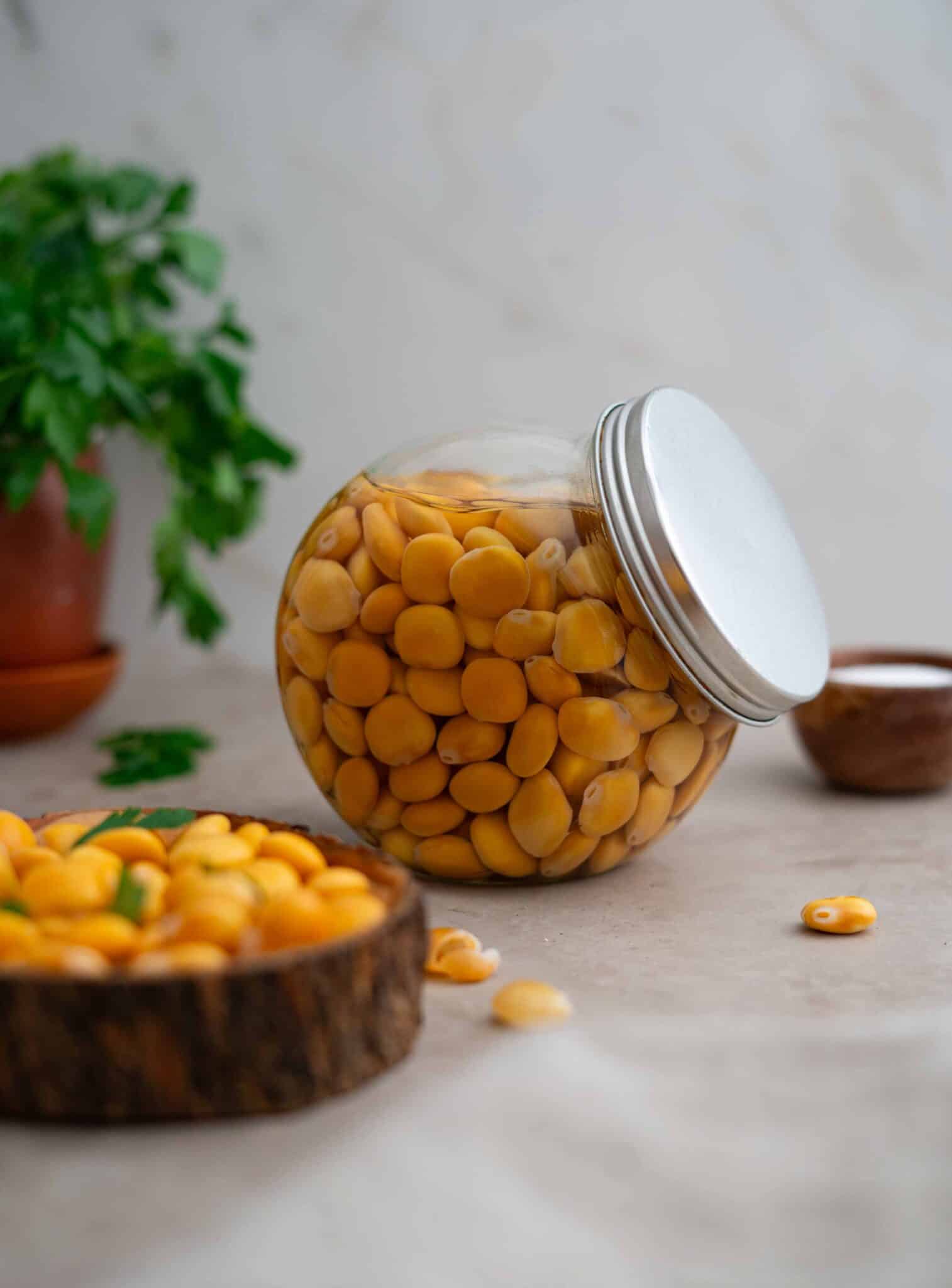 How to Make Lupini Beans (Turmus) Palestine In A Dish