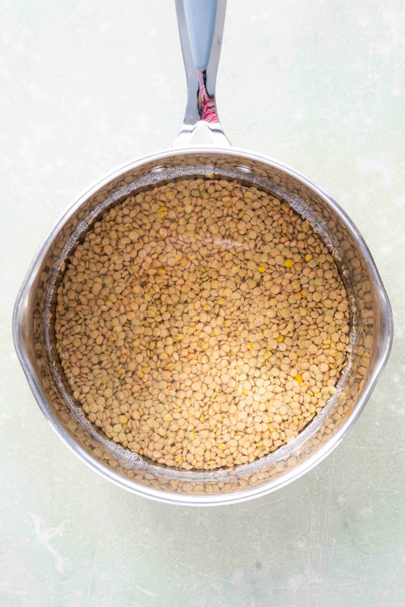 brown lentils with water in a pot