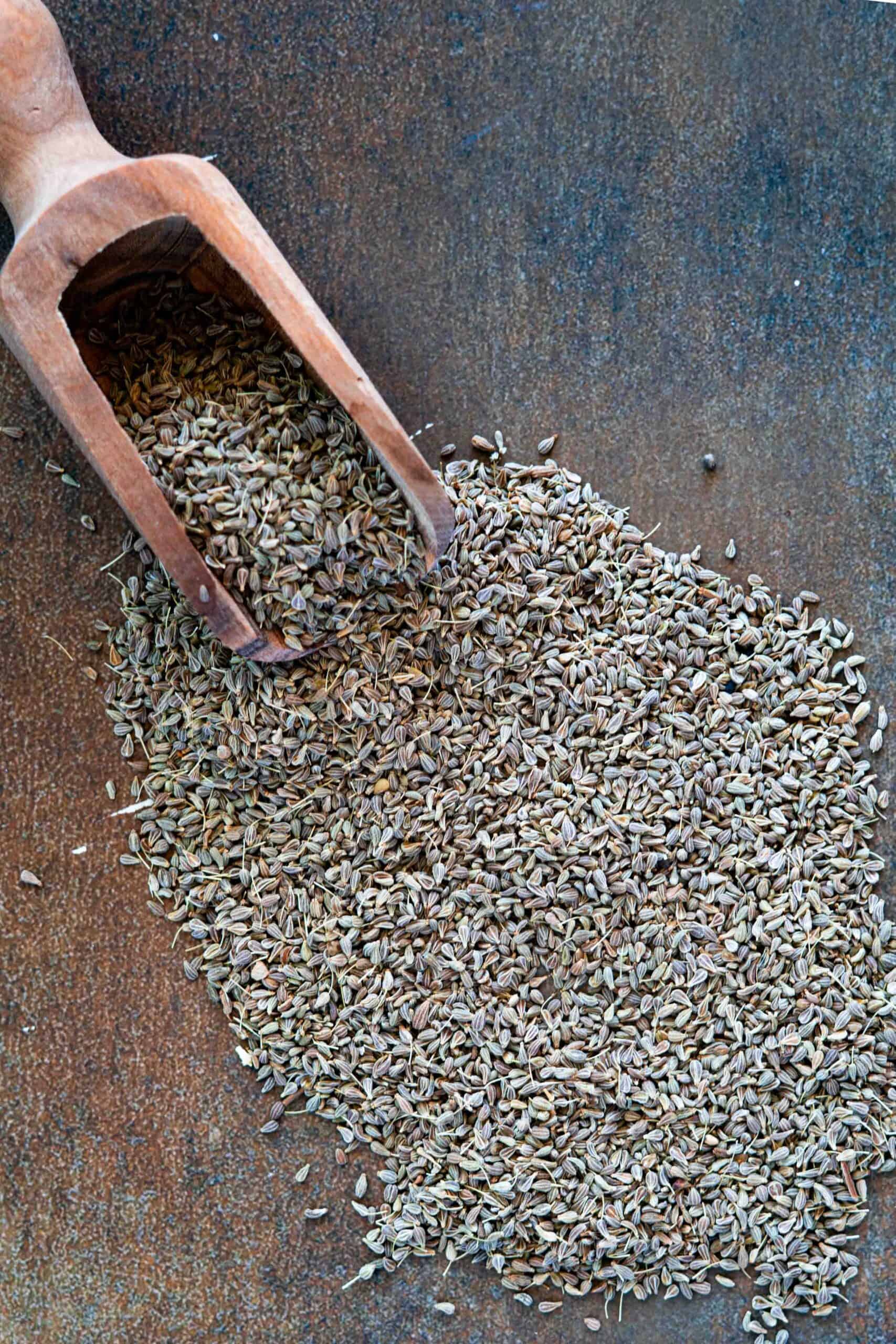 Anise seeds close up photo