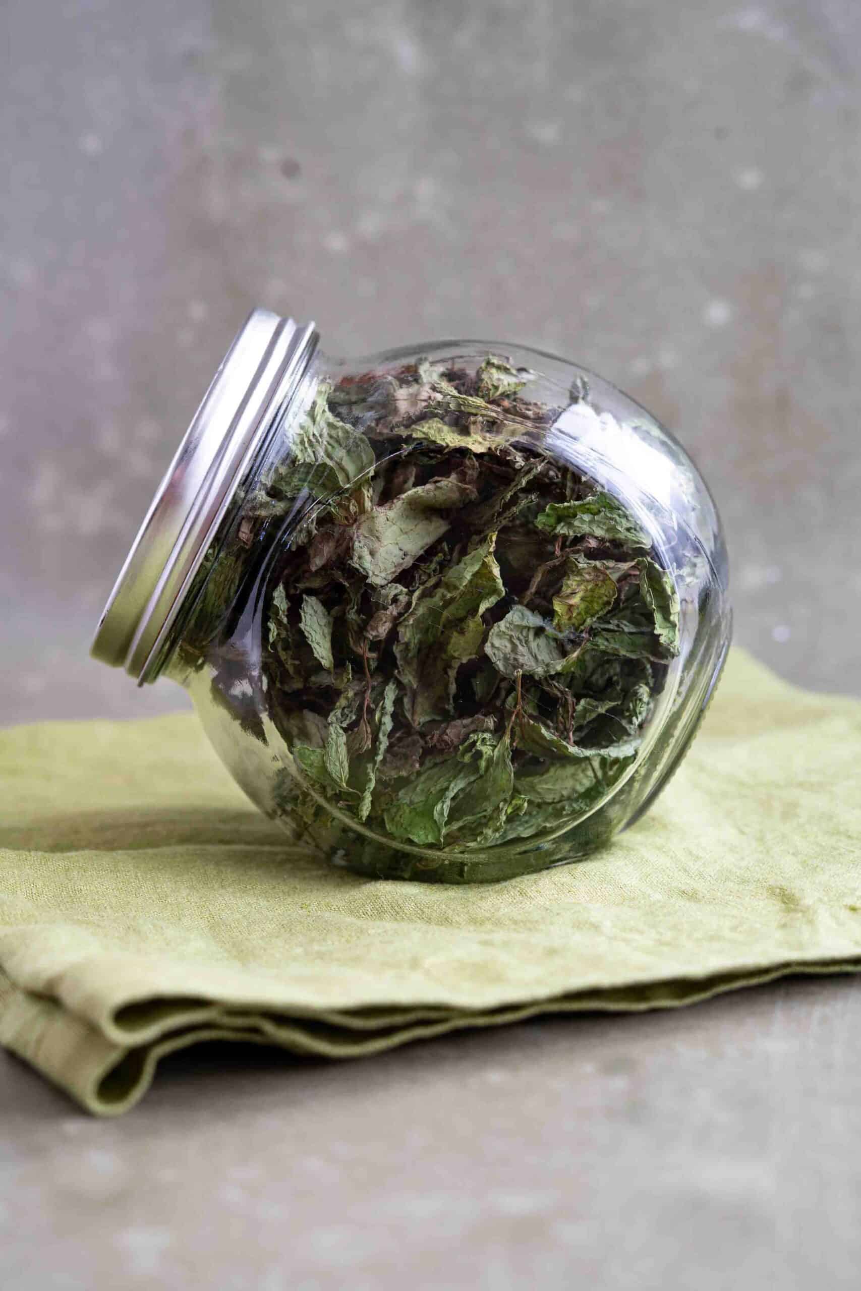 Dried mint stored in a glass jar