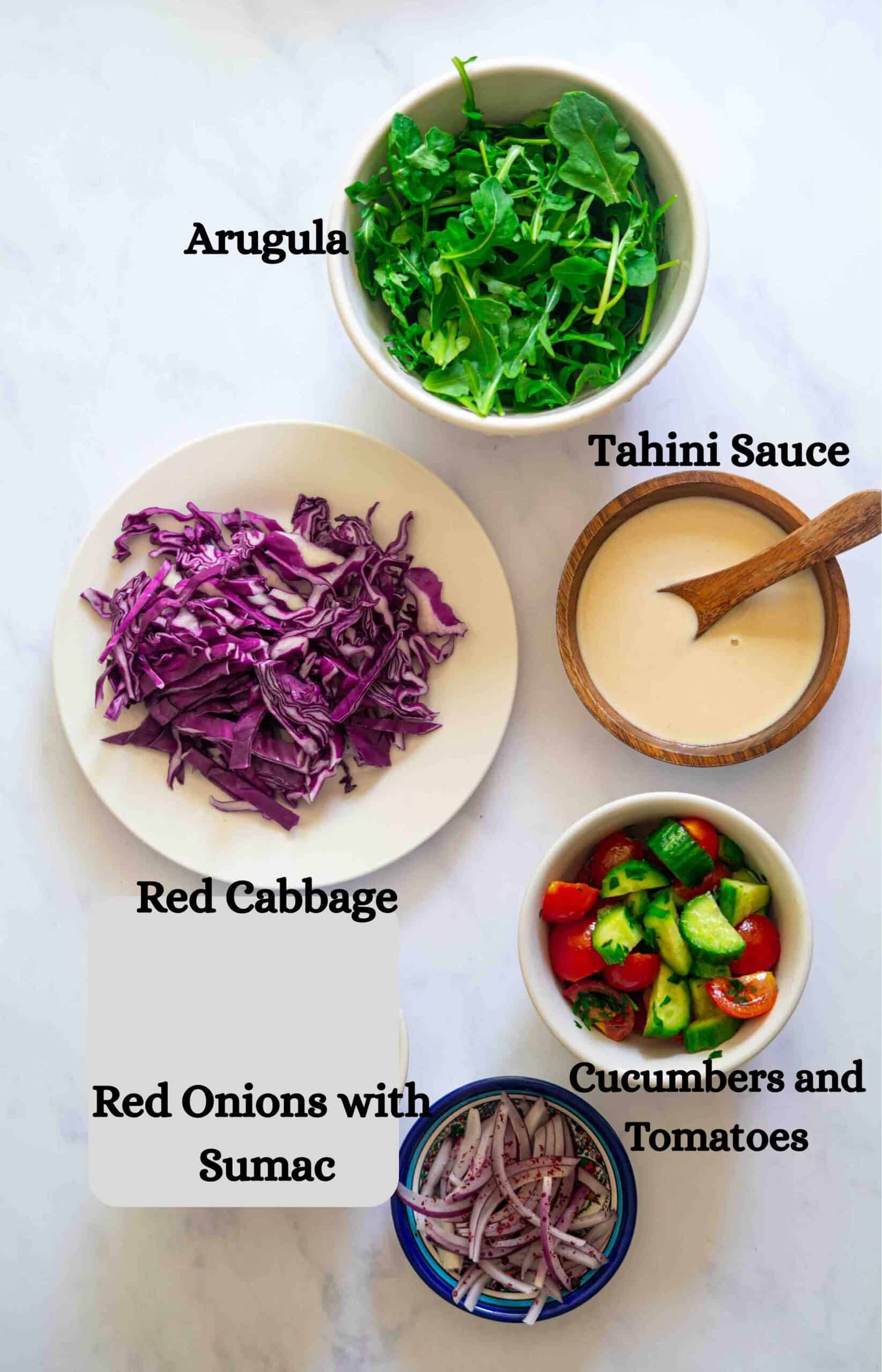 Shawarma salad ingredients: arugula, red cabbage, tahini sauce, cucumbers and tomatoes, sliced red onions with sumac